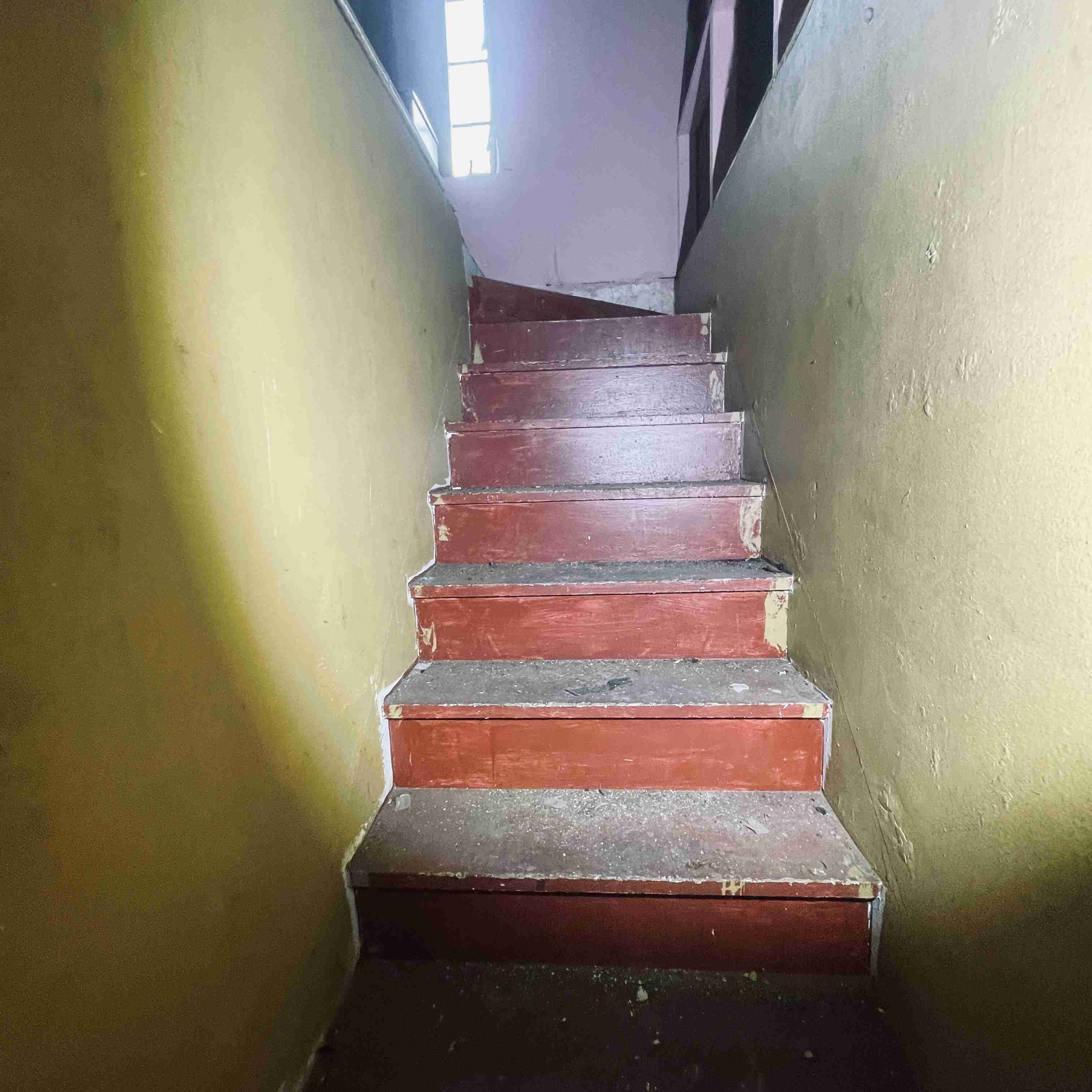 4277 TUXEDO (49).jpg